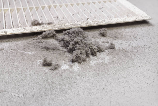 Best Affordable Air Duct Cleaning  in Dickinson, TX