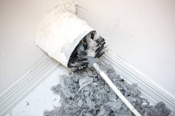 Best Home Air Vent Cleaning  in Dickinson, TX