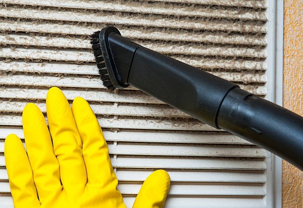 Best Local Air Duct Cleaning Services  in Dickinson, TX